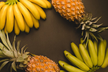 Similar image 13003530