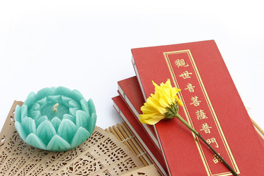 Similar image 13042061