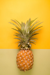 Similar image 13003592