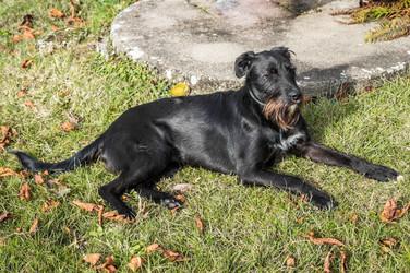 Similar image 13009213