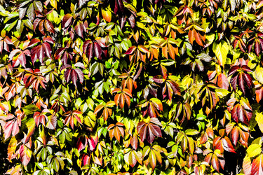 Similar image 13065407