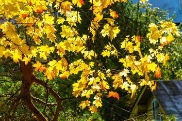 Similar image 13065409