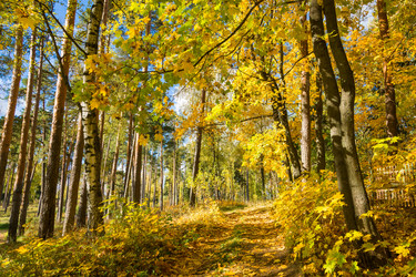 Similar image 13065412