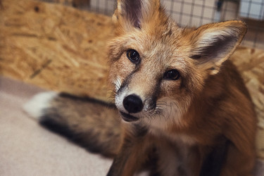 Similar image 13036096