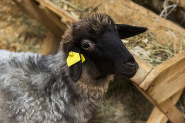 Similar image 13035857