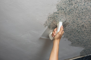 Similar image 13035922