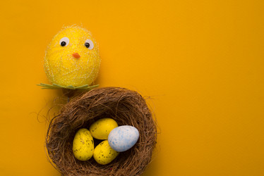 Similar image 13003533