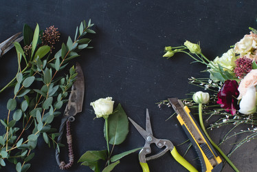 Similar image 13003548