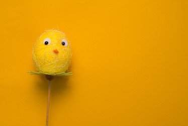 Similar image 13003517