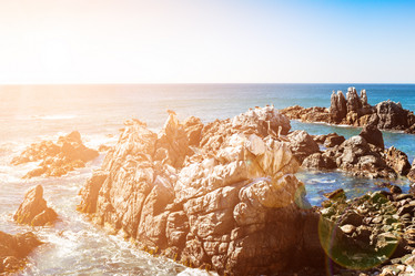 Similar image 13004956