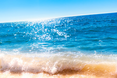 Similar image 13004959