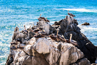 Similar image 13004961