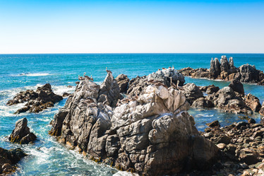 Similar image 13004980