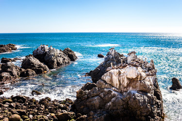 Similar image 13004984