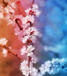 Similar image 13063751