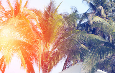 Similar image 13063957