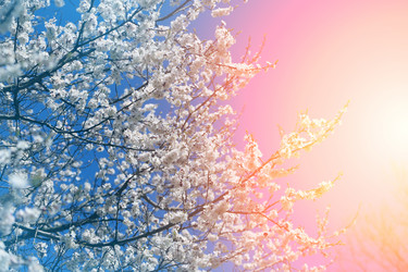 Similar image 13063959