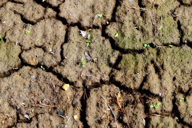 Similar image 13063961