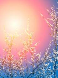 Similar image 13063963