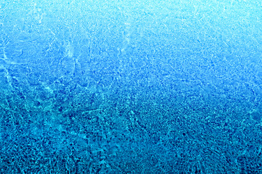 Similar image 13063806