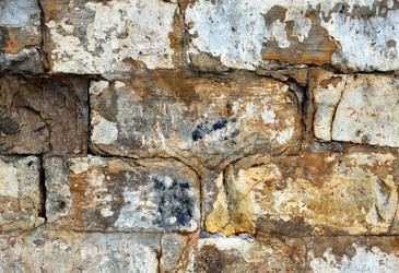 Similar image 13063903