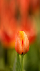 Similar image 13063993