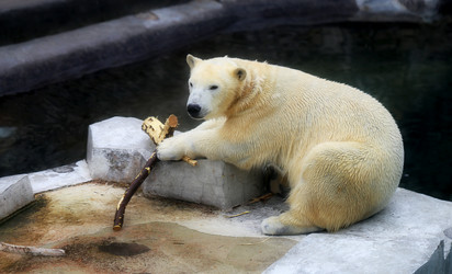 Similar image 13064432