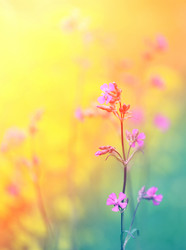 Similar image 13064502