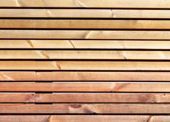 Similar image 13064641