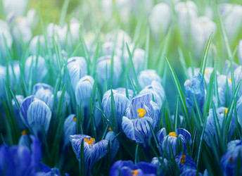 Similar image 13064701