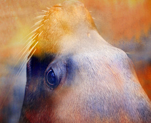 Similar image 13064781