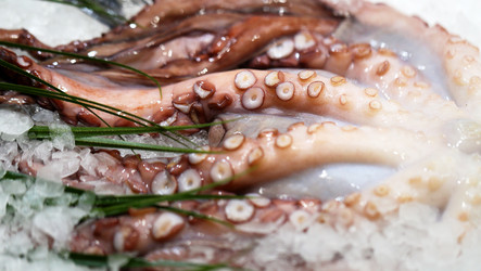 Similar image 13064782