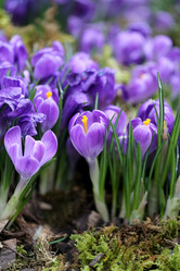 Similar image 13064784