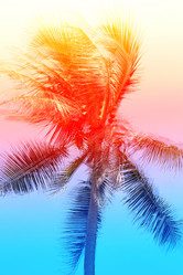 Similar image 13064043