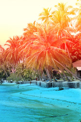 Similar image 13064045