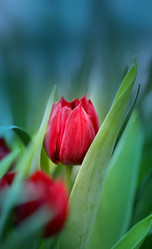 Similar image 13064818