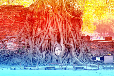 Similar image 13064063