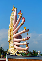 Similar image 13064069