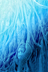 Similar image 13064843