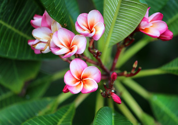 Similar image 13063753