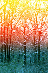 Similar image 13063755