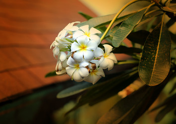 Similar image 13063759