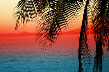 Similar image 13063763