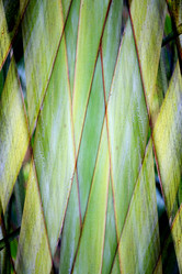 Similar image 13063967