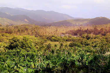 Similar image 13063968