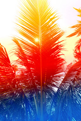 Similar image 13063985