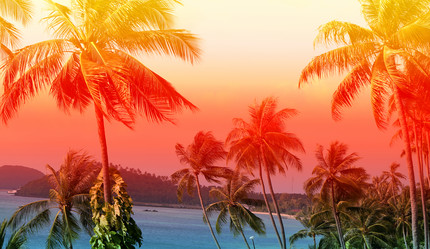 Similar image 13063789