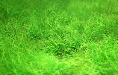 Similar image 13063850