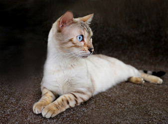 Similar image 13063909