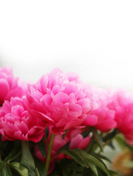 Similar image 13063913